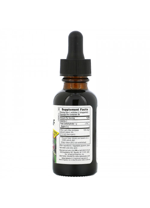 Nature's Plus, Herbal Actives, Olive Leaf, Alcohol Free, 1 fl oz (30 ml)