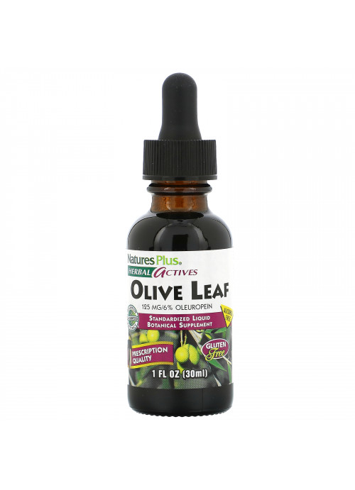 Nature's Plus, Herbal Actives, Olive Leaf, Alcohol Free, 1 fl oz (30 ml)