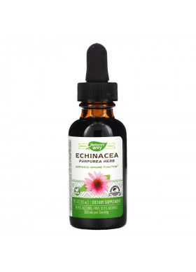 Nature's Way, Echinacea, 99.9% Alcohol Free, 1 fl oz (30 ml)