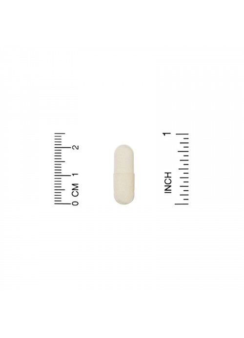 Organic India, Ashwagandha, 90 Vegetarian Caps