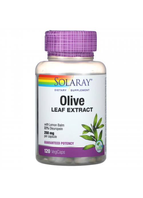 Solaray, Olive Leaf Extract, 250 mg, 120 VegCaps
