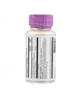 Solaray, Vitex Berry Extract, 225 mg, 60 VegCaps