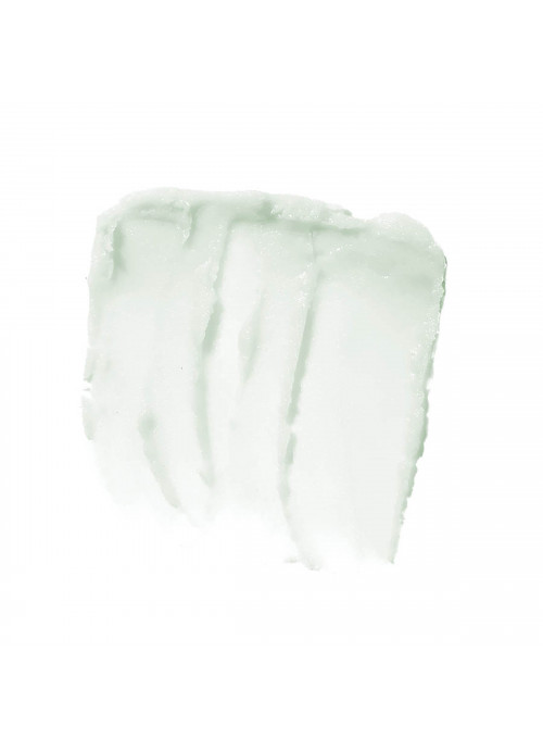 E.L.F., Lip Exfoliator, Mint Maniac, 0.11 oz (3.2 g)