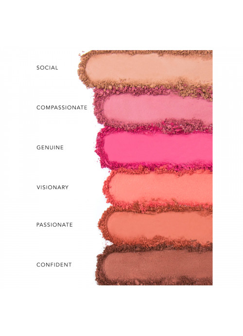 RealHer, You Are Brilliant, Pro Blush Palette, 0.66 oz (18 g)