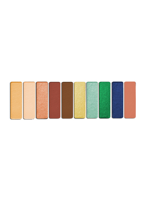 Wet n Wild, Color Icon Eyeshadow Palette, 763D Stop Playing Safe, 0.35 oz (10 g)