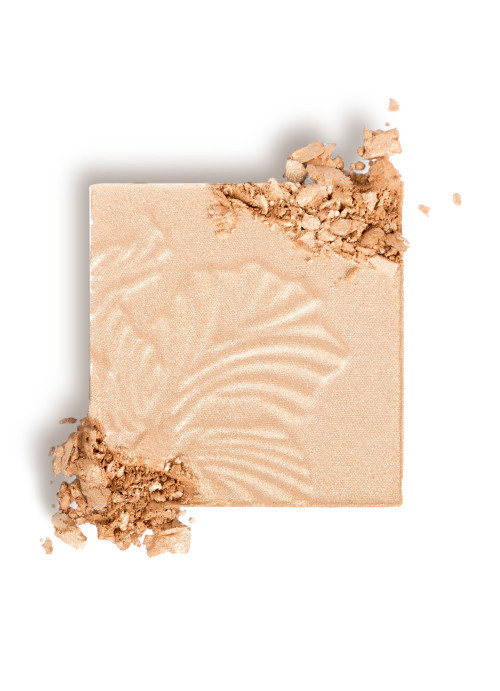 Wet n Wild, MegaGlo Highlighting Powder, Golden Flower Crown, 0.19 oz (5.4 g)