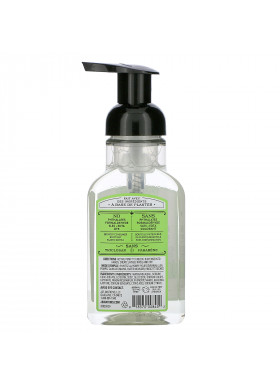 J R Watkins, Foaming Hand Soap, Aloe & Green Tea, 9 fl oz (266 ml)