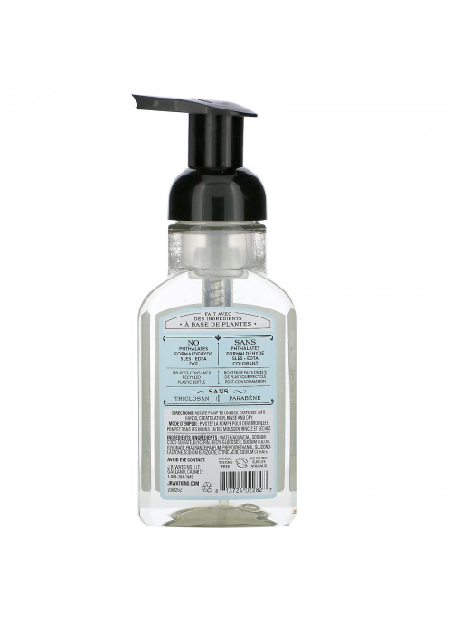 J R Watkins, Foaming Hand Soap, Ocean Breeze, 9 fl oz (266 ml)
