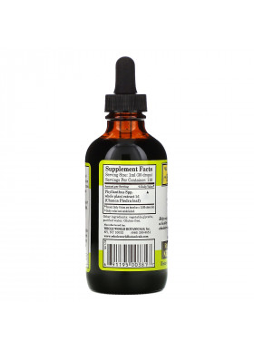 Whole World Botanicals, Royal Chanca Piedra Kidney-Bladder Support, 4 oz (118 ml)