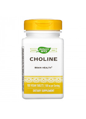 Nature's Way, Choline, 500 mg, 100 Vegan Tablets