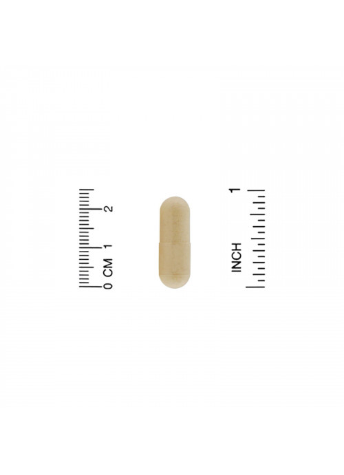 California Gold Nutrition, Lion's Mane, Full Spectrum, Organic Certified, 90 Veggie Capsules