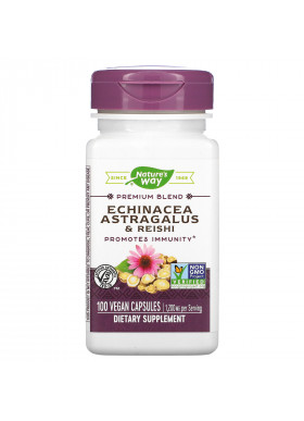 Nature's Way, Echinacea Astragalus & Reishi, 1,200 mg, 100 Vegan Capsules