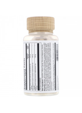 Solaray, Fermented Mushroom Immune Complex, 100 VegCaps