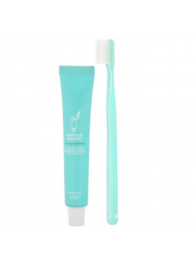 First Salt After Rain, Grey Salt Toothbrush & Toothpaste Set, Blue, 1 Kit