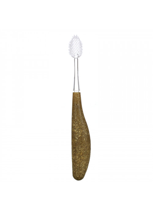 RADIUS, Source Toothbrush, Medium, 1 Replaceable Head Toothbrush