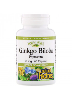 Natural Factors, Ginkgo Biloba, Phytosome, 60 mg, 60 Capsules