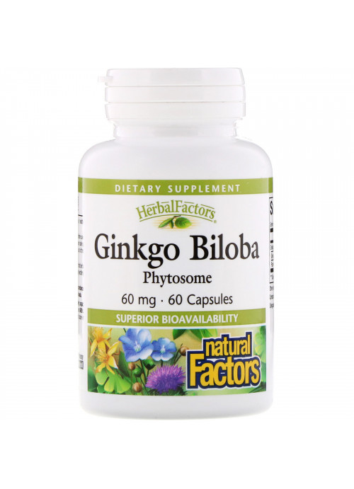 Natural Factors, Ginkgo Biloba, Phytosome, 60 mg, 60 Capsules