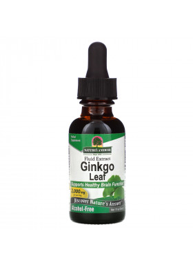 Nature's Answer, Ginkgo Leaf Fluid Extract, Alcohol-Free, 2,000 mg, 1 fl oz (30 ml)