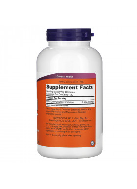 Now Foods, MSM, Methylsulfonylmethane, 1,000 mg, 240 Veg Capsules