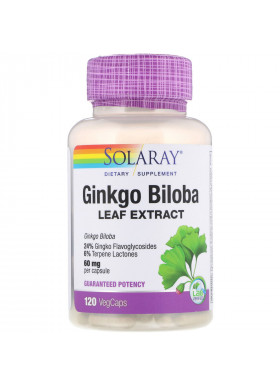 Solaray, Ginkgo Biloba Leaf Extract, 60 mg, 120 VegCaps