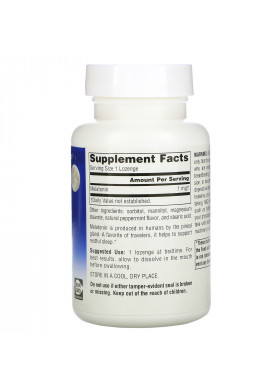 Source Naturals, Melatonin, Peppermint, 1 mg, 300 Lozenge
